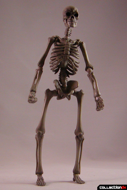 skeletonspooky