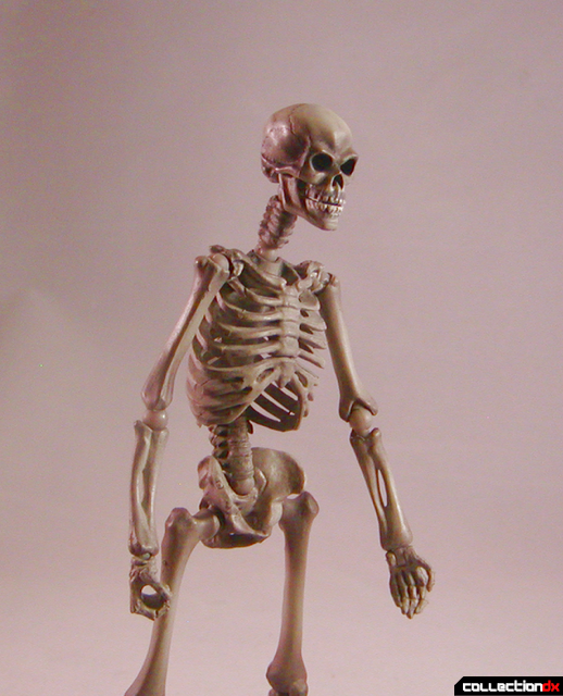 skeletonstroll