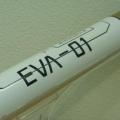 EVA-01 Entry Plug