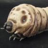 Large Monster Series - Mothra larvae by X-Plus