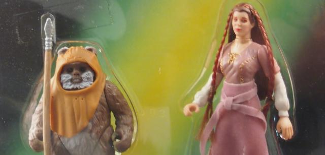 Princess Leia and Wicket the Ewok