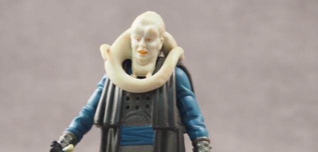 Bib Fortuna