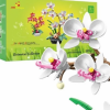 Build your Mother some Orchids for Mothers Day with 35% off and free shipping fr