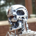The Terminator Endoskeleton