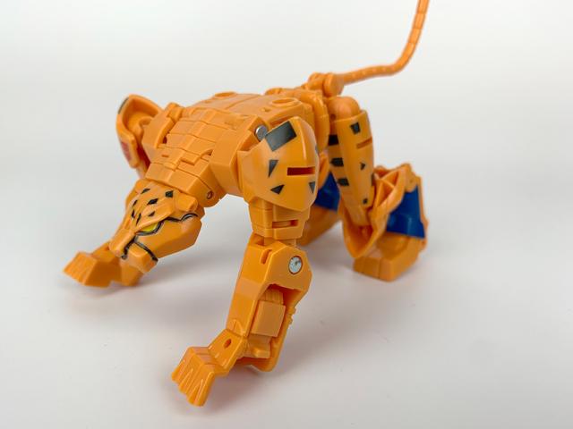 Sea Fury Cheetor