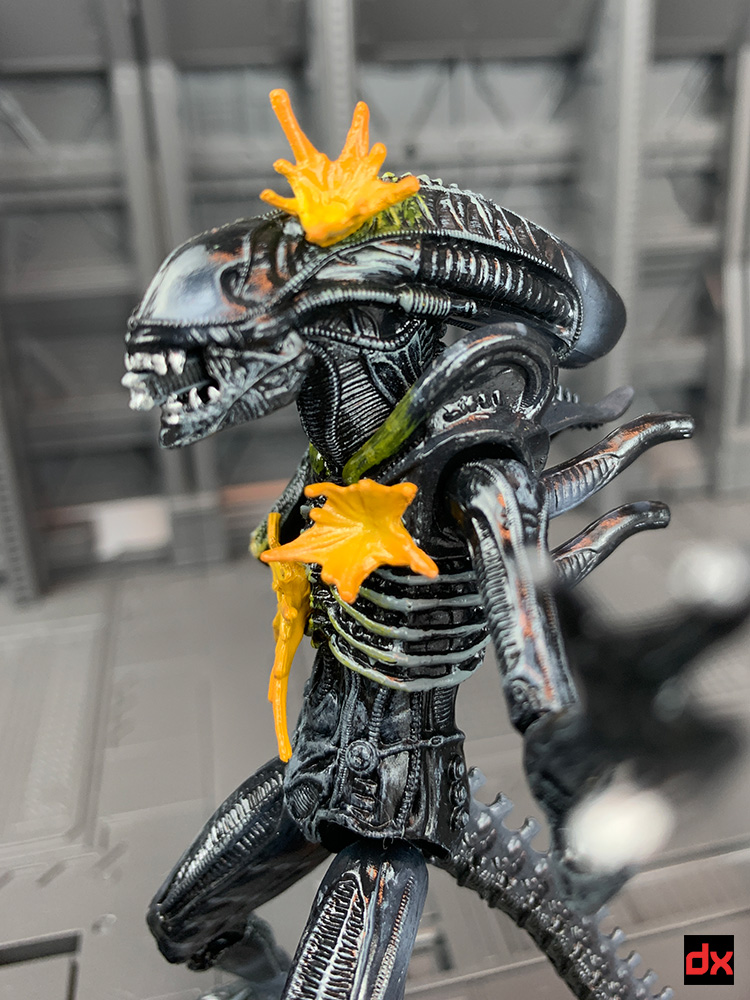 Alien Warrior