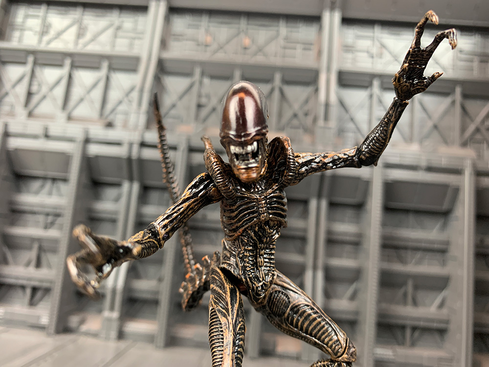 Lead Alien Warrior