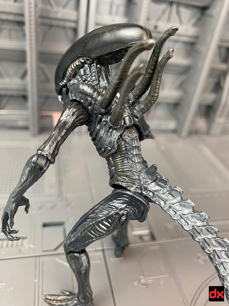 Warrior Alien