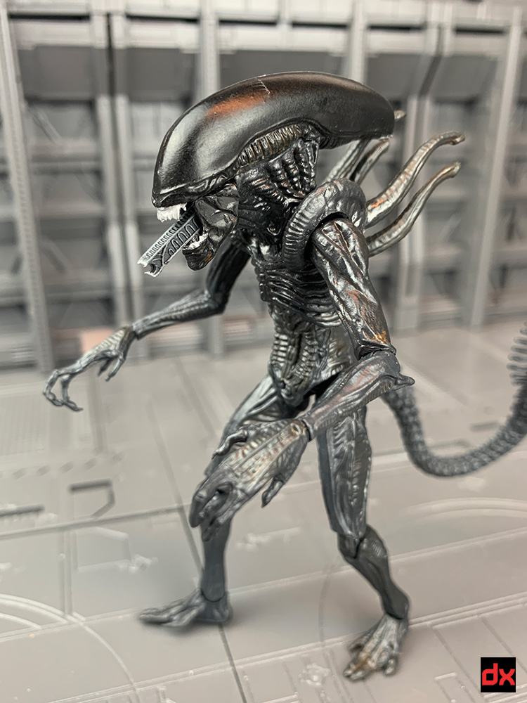 Warrior Alien