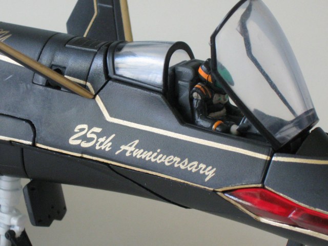 YF-19 25th Anniversary