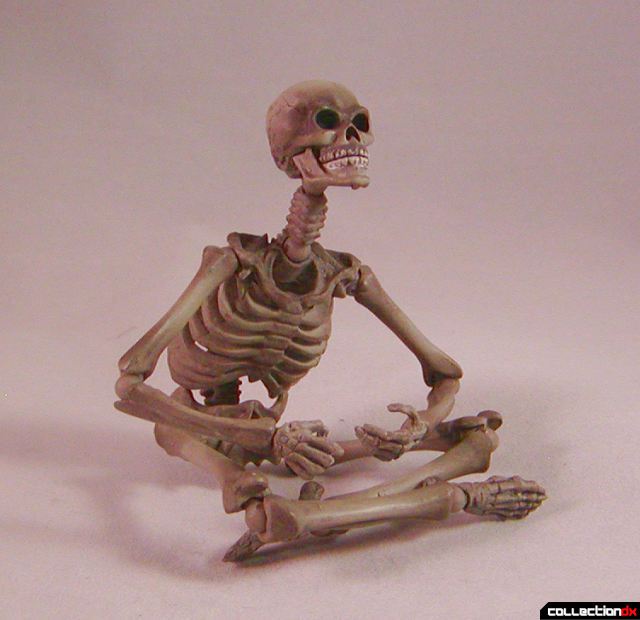 skeletonsits