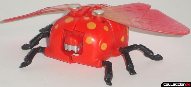 Lady Bug Bot 9