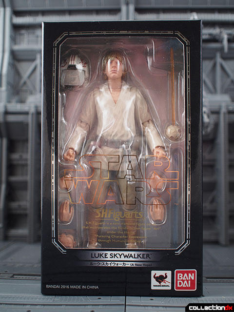 Luke Skywalker A New Hope   CollectionDX