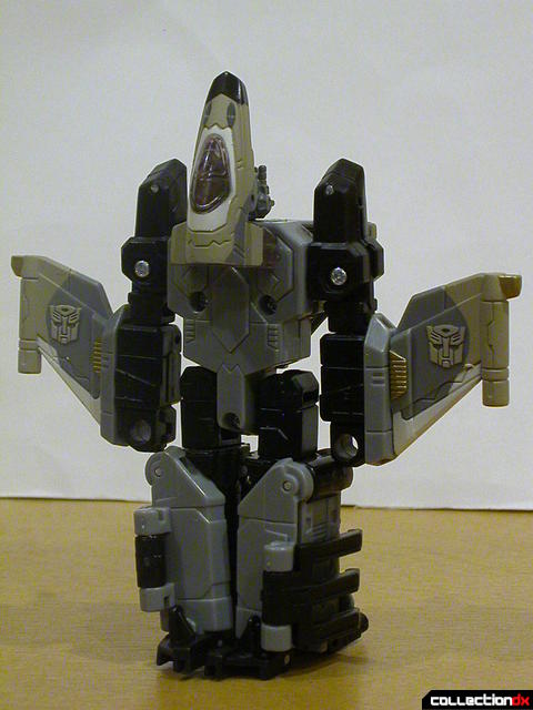 Autobot Skyblast- robot mode (back)